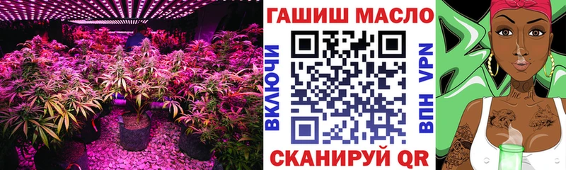 где купить наркоту  Кингисепп  ТГК вейп 