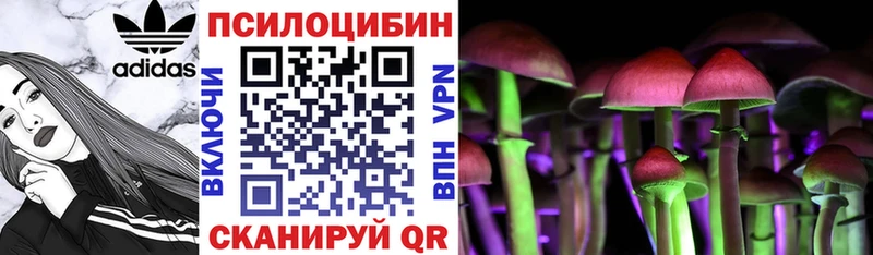 купить наркотики цена  Кингисепп  Галлюциногенные грибы ЛСД 